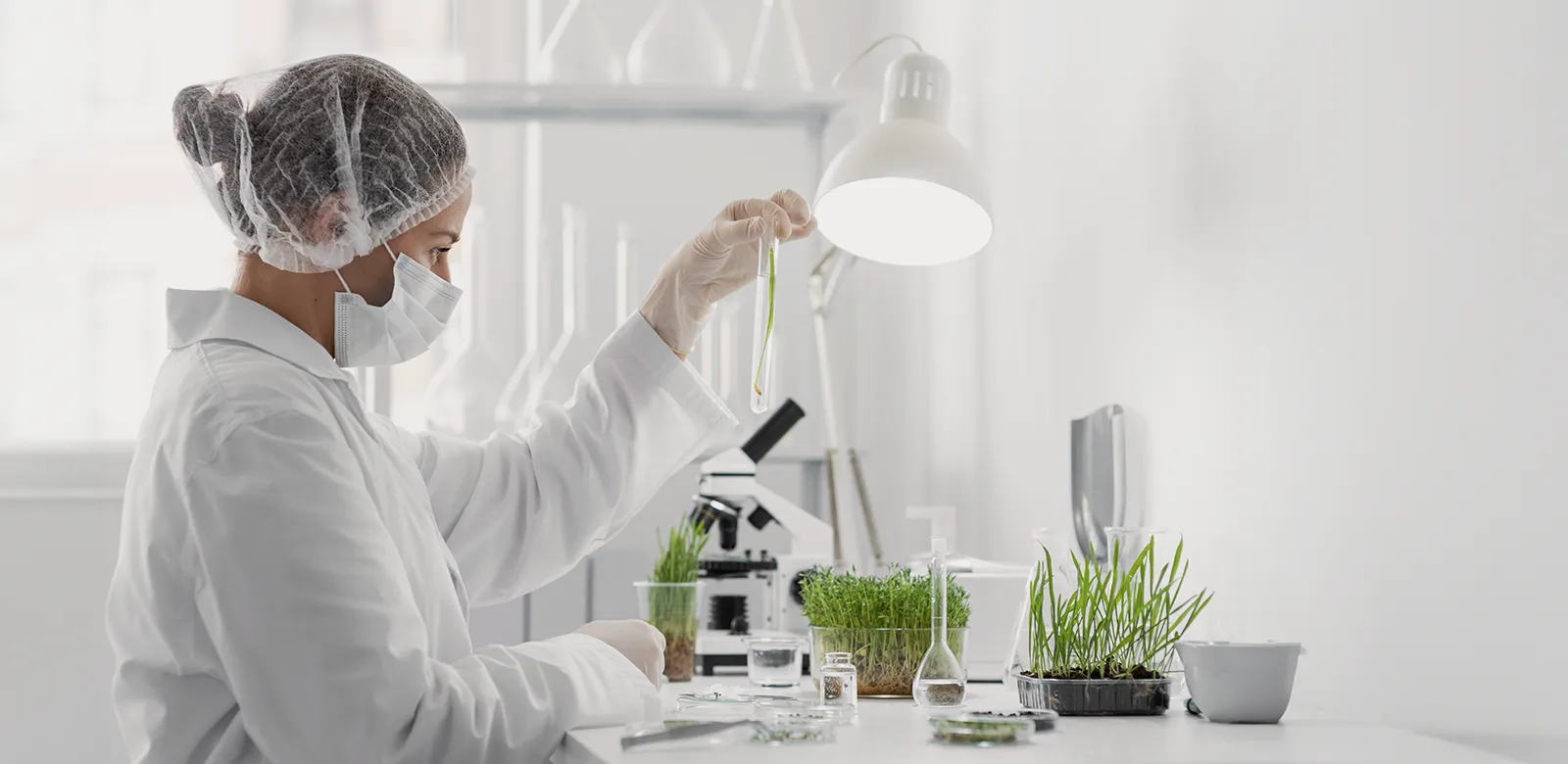 laboratorio cosmetico biotecnologia